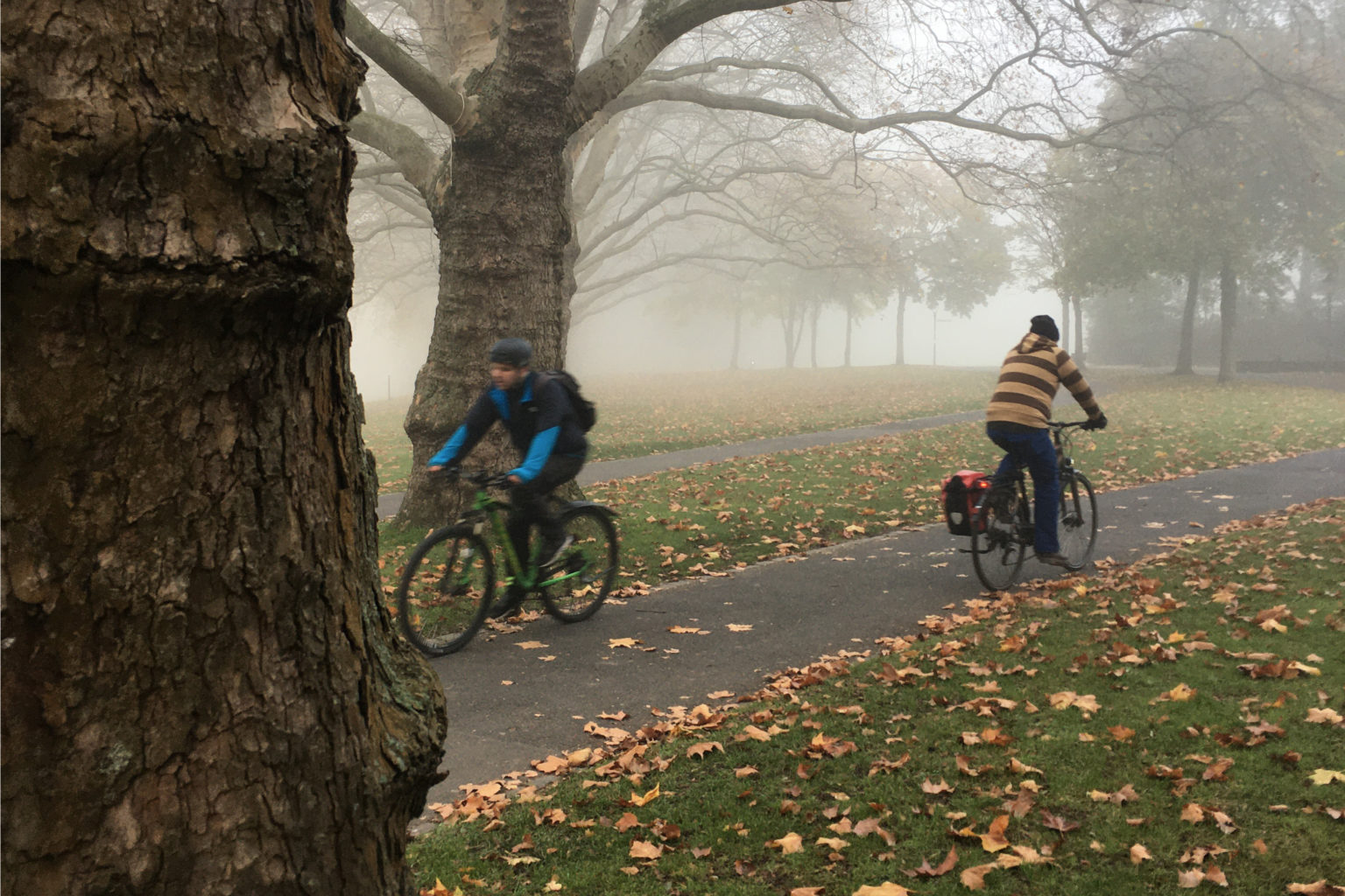 Fahrradfahren im Herbst? So geht’s sicher! | Bikefolks.de