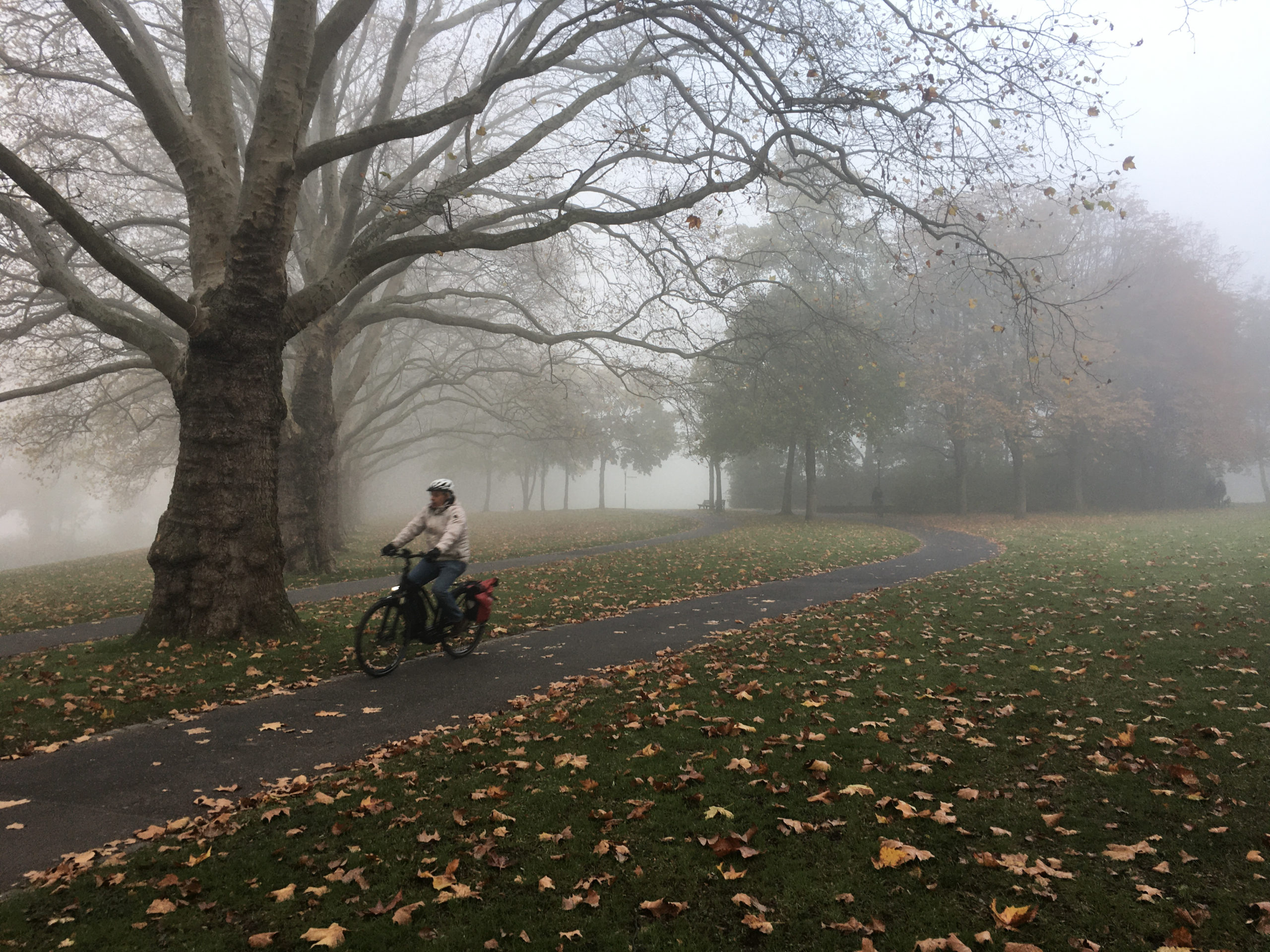 Radfahren im Herbst - aber sicher!