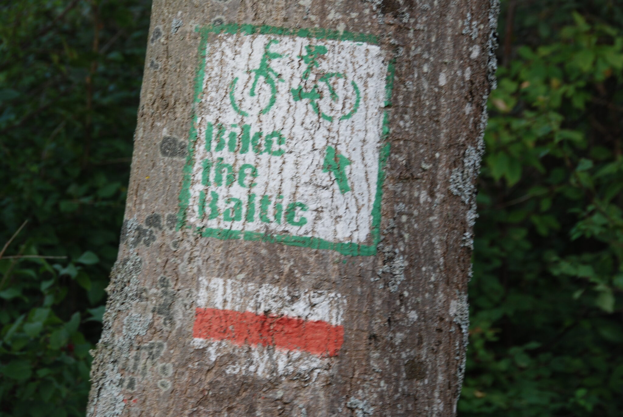 darf man das fahrrad mit in den bus nehmen